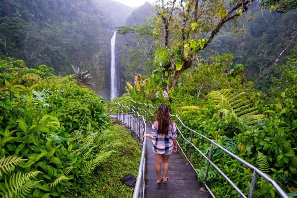 The Honomu House - Gorgeous, Spacious 4Bd2Ba Home Near Waterfalls And Hilo, Sleeps 12! Zewnętrze zdjęcie