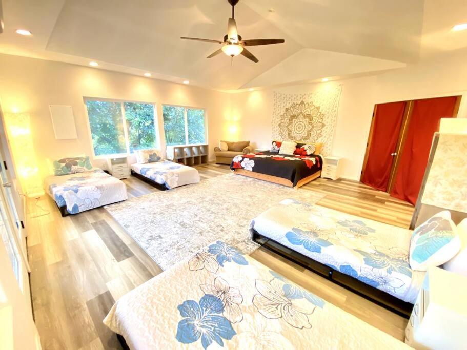 The Honomu House - Gorgeous, Spacious 4Bd2Ba Home Near Waterfalls And Hilo, Sleeps 12! Zewnętrze zdjęcie